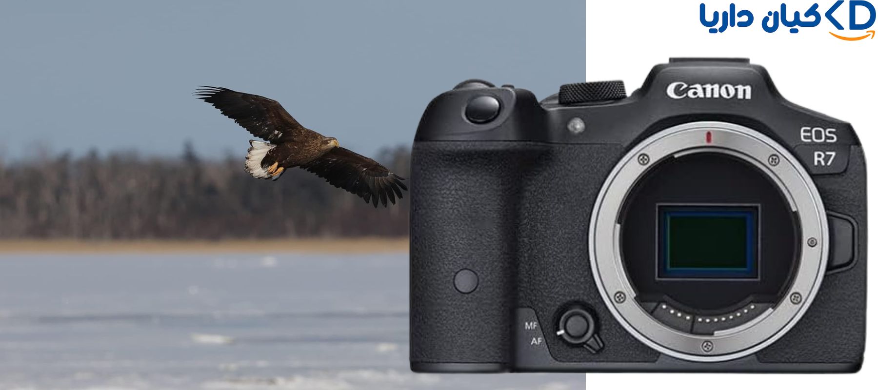 دوربین بدون آینه کانن مدل EOS R7 همراه با لنز RF-S 18-150mm 