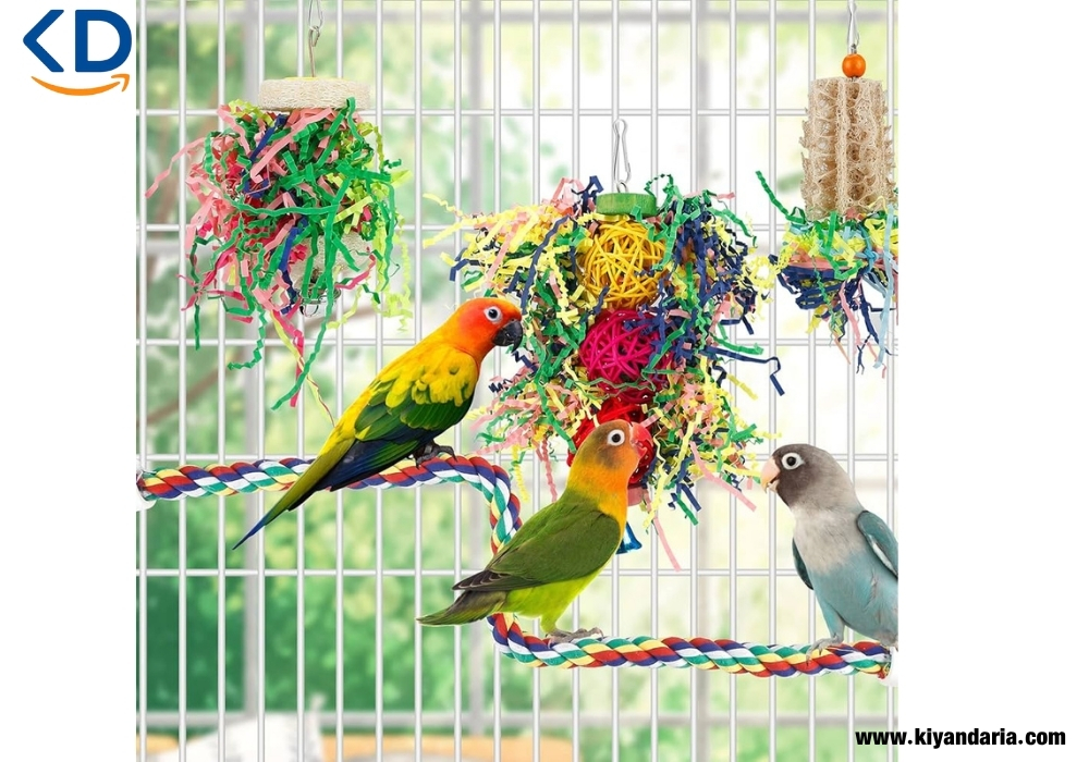 Bird care supplies