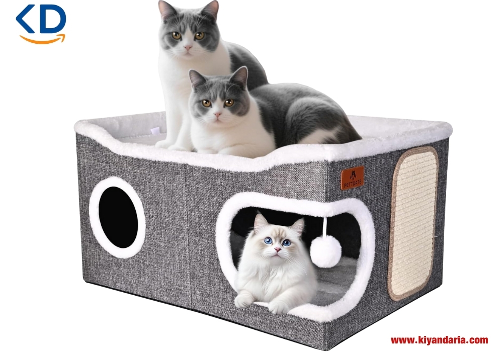 جای خواب گربه Cat sleeping place