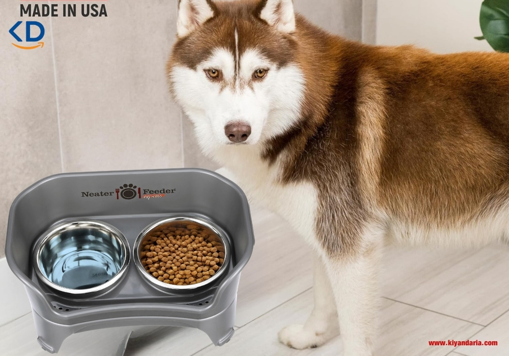  ظرف آب و غذای سگ Dog food and water bowl