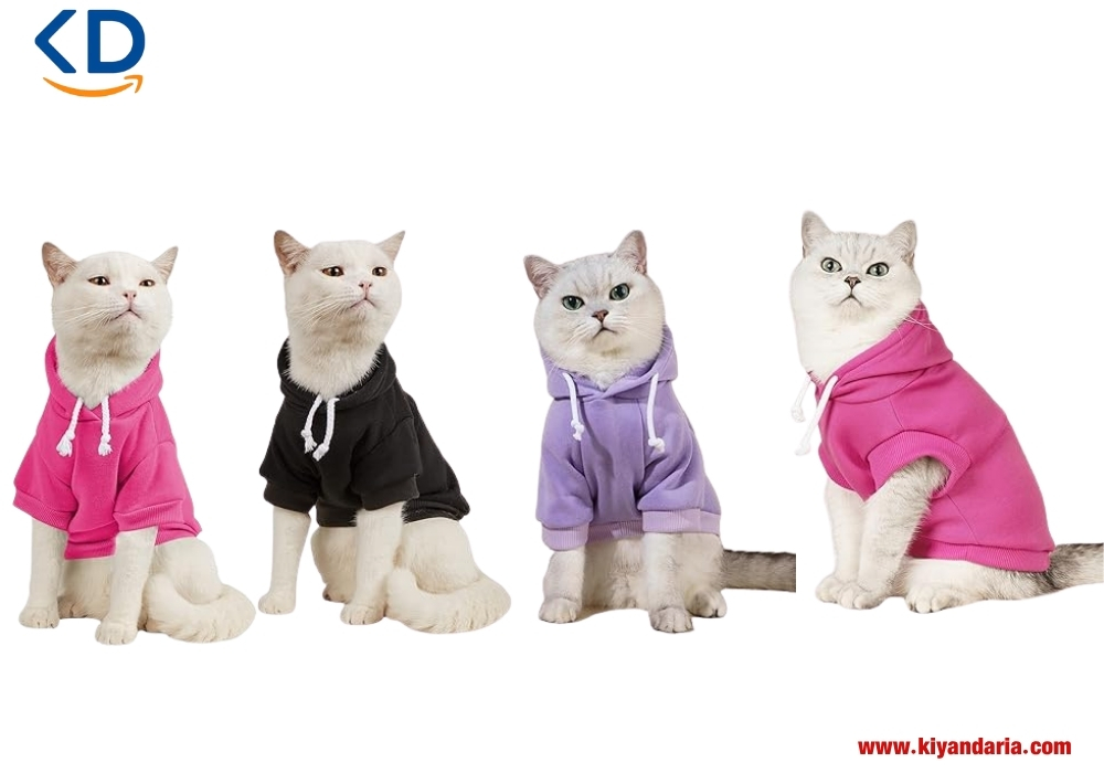 cat clothes