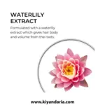 شامپو حجم‌ دهنده ملایم Phyto مدل Phytovolume مخصوص مو های نازک و کم‌ حجم-250 میلی ‌لیتر نمای کاربرد ها