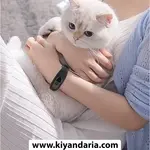ساعت ماساژور دست مردانه BXA
کاتالوگ
