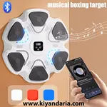 کیسه بوکس دیواری هوشمند- سفید. نمای اصلی