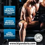 مکمل آمینو تقویتی مردانه GAT Sport Tribulus – بسته (90 عددی)